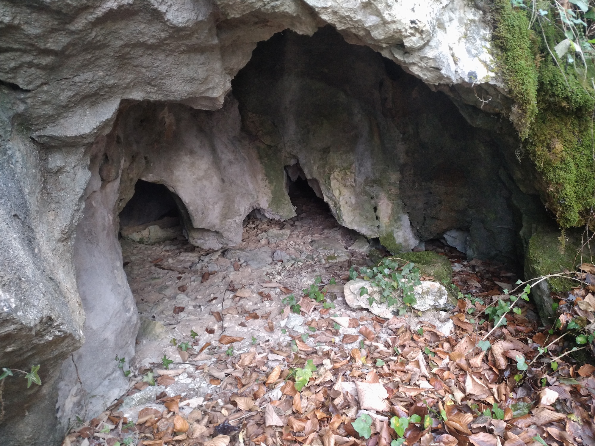 Peştera nr. 17 din Valea Comarnic - Image 2